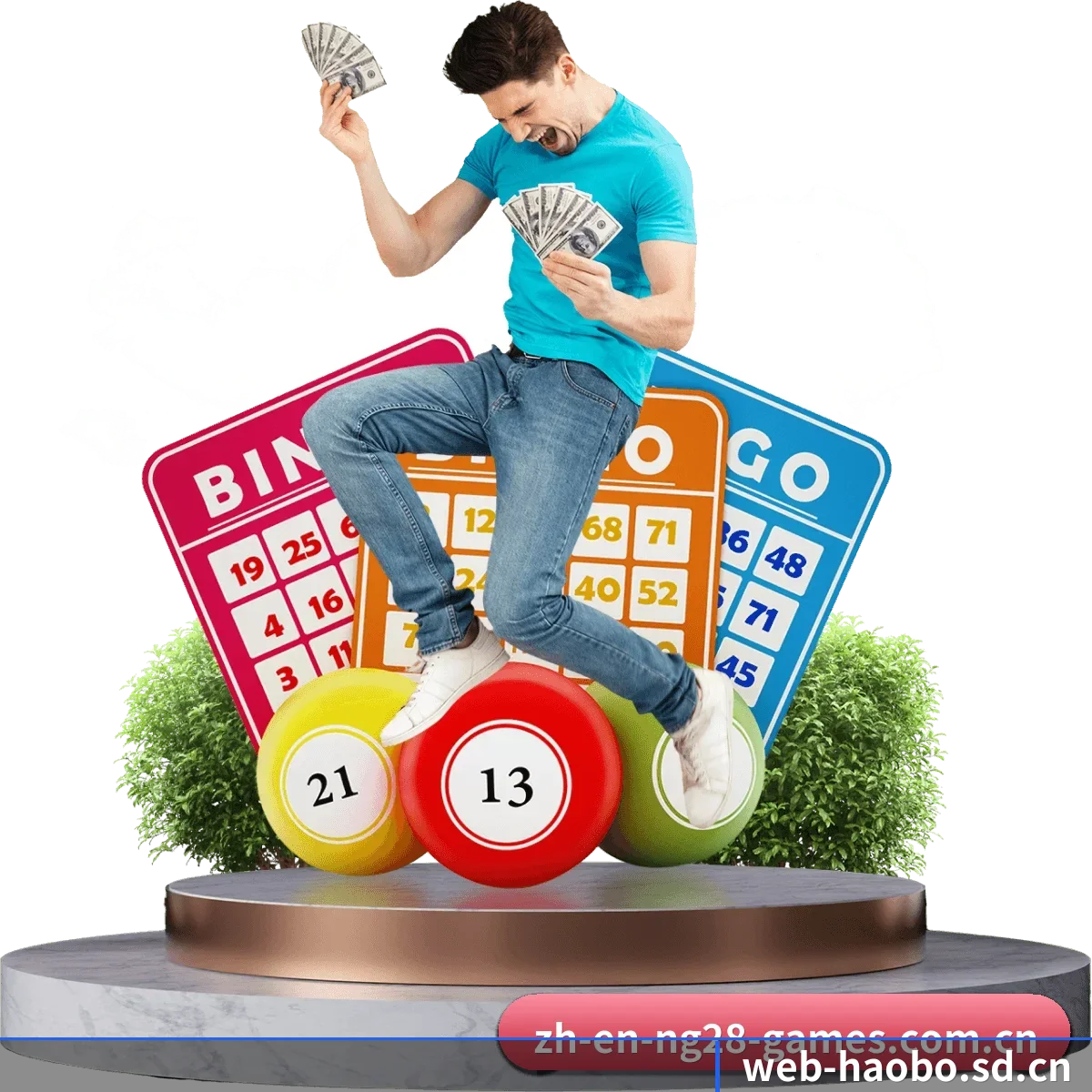 用扎实的内容积累长期价值 - HAOBO